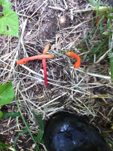 20120820-132324.jpg