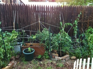 20120831-075033.jpg