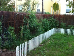 20120831-075437.jpg
