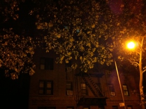 20120925-160454.jpg