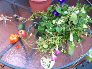 20120929-142918.jpg