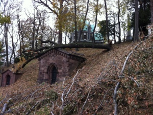 20121110-171653.jpg