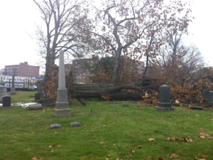 20121110-171929.jpg