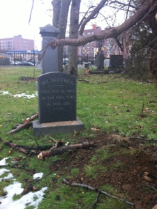 20121110-172006.jpg