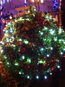 20121212-001831.jpg