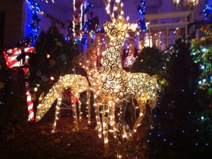 20121212-001837.jpg