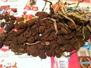 20121213-004249.jpg