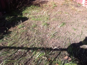 20130120-221448.jpg