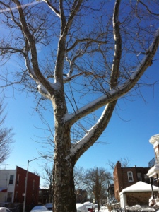 20130209-123907.jpg