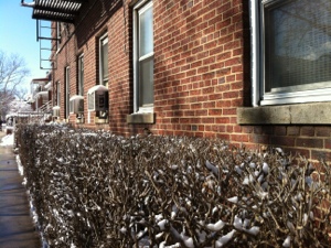 20130209-124004.jpg