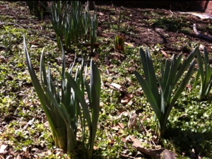 20130223-150148.jpg