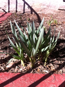 20130223-150208.jpg