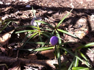 20130223-150216.jpg