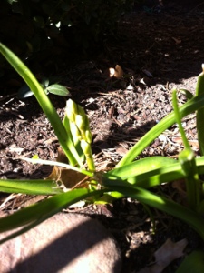 20130223-150224.jpg
