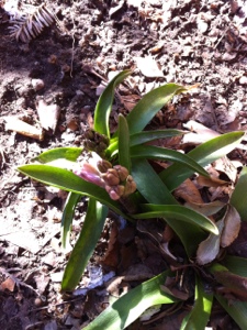 20130223-150258.jpg