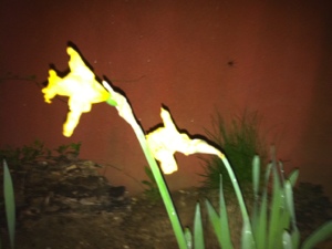 20130416-214717.jpg