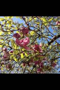 20130426-092450.jpg