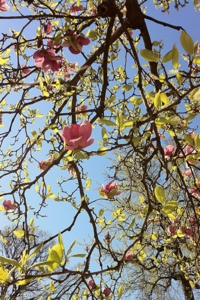 20130426-092458.jpg