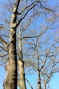 20130426-092506.jpg