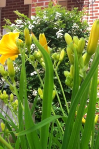20130621-224044.jpg
