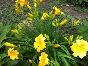 20130621-224348.jpg