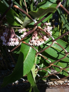 20130621-224647.jpg