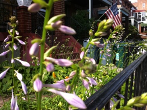 20130626-162738.jpg