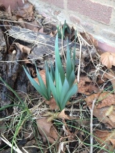 20140320-142744.jpg