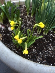 20140401-104758.jpg